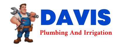 Trusted plumber in WEWELA